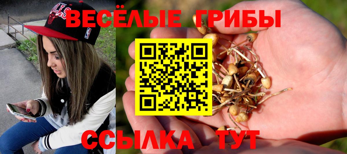 Псилоцибиновые грибы ЛСД  Вход с VPN  Гурьевск 