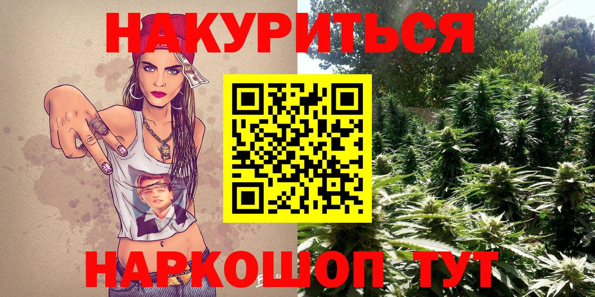 Каннабис OG Kush  Вход с VPN  Гурьевск  Каннабис планчик  Канабис Ganja 